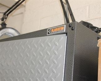 More gladiator cabinets