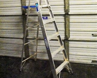 Werner 6 Foot Aluminum Ladder