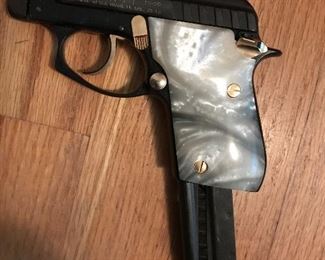 Taurus PT 22 pistol