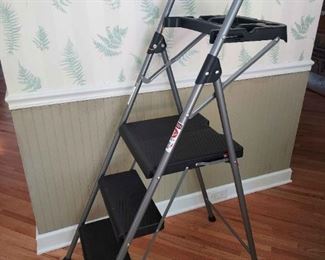 Werner Step Ladder