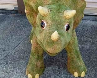 06 KOTA The Animatronic Triceratops Dinosaur