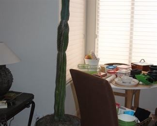 Natural cactus with planter