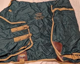 New Green 80" Nylon Horse Sheet - 2004 ENPHC Fancy Pants Memorial