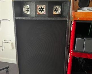 Custom Built DJ Speakers