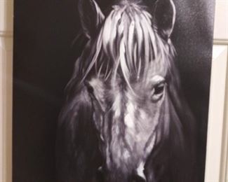 ANOTHER GREAT PICTURE !