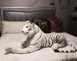 HE READY TO GO HOME WITH YOU !