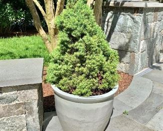 $200  - Glazed ceramic planter #2. 15" H, 16" diam.
