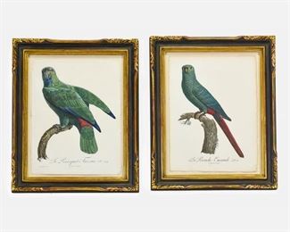 Jacques Barraband "Le Parruquet Tavona" and "La Perruche Emeraude" Two Engravings