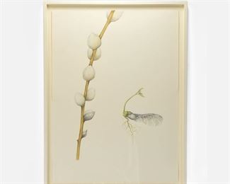 Rebecca Clark "Emerge" Graphite Watercolor and Colored Pencil on Paper Drawing