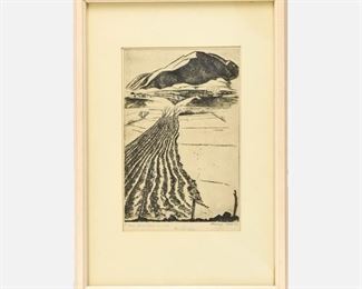 Howard Norton Cook Signed Etching Talpa Furrows AP