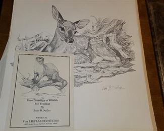 Joan B. Seller Wildlife Prints