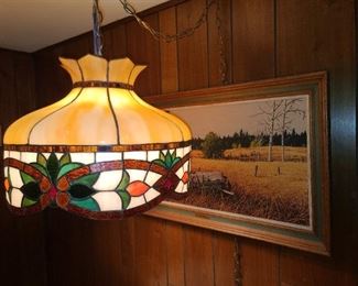 Pendant Lamp & Framed Picture Print