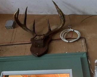 lots of BIG Bucks racks