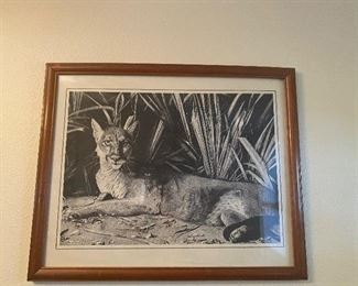 Cougar Pencil Art