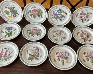 (13) Portmeirion Dinner Plates in a variety of beautiful patterns. Each plate measures 10" 