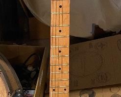 Lotus Electric Guitar 