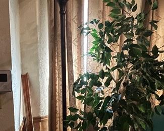 Artificial Ficus Plant