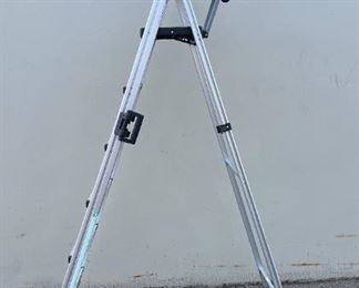 S005Cosco Ladder