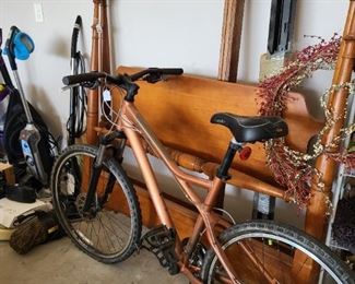 Giant - dual purpose, city slicker tires and disc brakes with a shock absorbing fork and large gel seat 