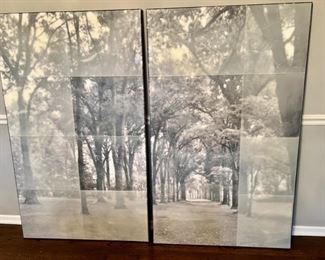 Lot 8782 Asking $2,800.00  Original Gallery Price was over $17,000.   Matthew Brandt 2 Pieces.  This piece is called "Large Canopy III I and 2.  Original Art.  Matthew Brandt received his BFA from Cooper Union and MFA from UCLA. Brandt has been the subject of institutional solo shows at the Newark Museum, the Columbus Museum of Art, Virginia Museum of Contemporary Art and SCAD Museum of Art, Savannah.  Recent group exhibitions include works in New Territory: Landscape Photography Today at the Denver Art Museum,The Magic Medium at the Los Angeles County Museum of Art; Light, Paper, Process: Reinventing Photography at the J. Paul Getty Museum, Los Angeles; Second Chances at the Aspen Art Museum;  What is a Photograph? at the International Center of Photography, New York; and Land Marks at the Metropolitan Museum of Art, New York. Brandt was shortlisted for the prestigious Prix Award in 2015 and had his work showcased in an exhibition at the Musée d’Art Moderne de la Ville de Paris. 