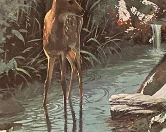 Lot 8864  $175.00  "Innocent" by Morton Solberg. Limited Edition Signed and Numbered Print.   Morton  recently passed away in 2022.  Renowned for his Watercolors and Animal portrayals.
