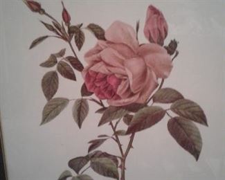 FRAMED ROSE PRINT