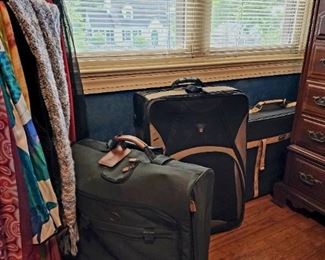 Lots of luggage to choose from