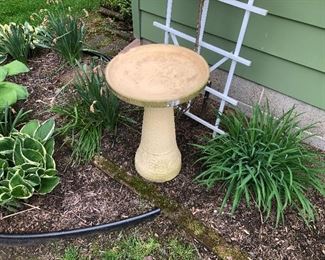 Bird bath 