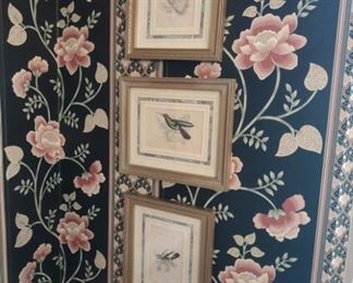 hummingbird prints