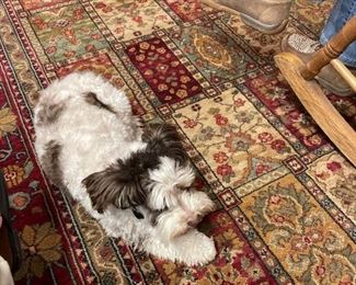 Dolly, our Official Company Mascot!