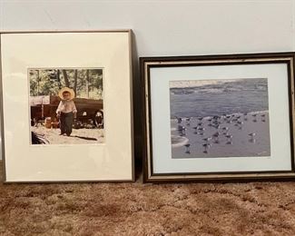 Framed Photos Of Seabirds Amish Boy