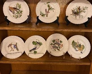 Alfred Meakin of England Audubon Birds of America plates
#17 - Carolina turtle dove 
#18 - Bewicks wren
#43 - Cedar bird
#62 - Passenger pigeon
#79 - Kingbird
# 114 - White crowned sparrow 
#367 - Band tailed pigeon