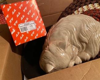 Sleep little kitten.