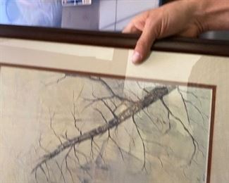 This is an example of a poor photograph.