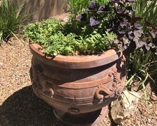 Large number of outdoor plants in pots