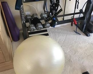 Weights, weight holder, exercise ball, exercise bands, step board