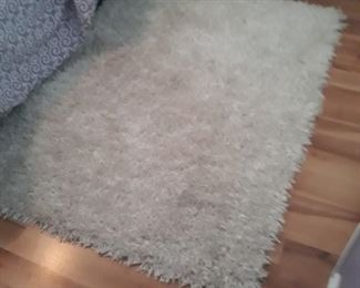 Shag rug in the bed room 