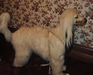Life size dog( NOT a taxidermy )