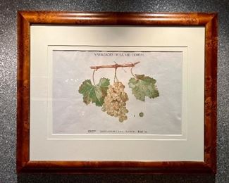 Item 85:  White Grape Print in Burled Wood Frame - 31.75" x 26":  $125