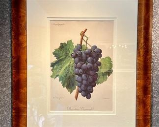 Item 83:  "Grapes" Antique Print in Burled Wood Frame - 20" x 24": $125