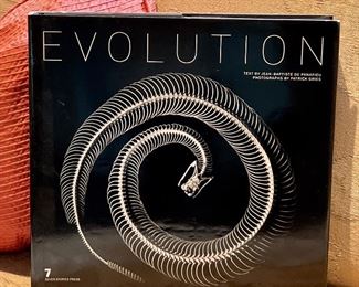 Item 90:  "Evolution" Book:  $24