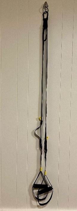 Item 277:  TRX System (no poster and only one of the two wall hardware):  $85