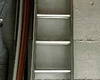Item 330:  Extendable Ladder:  $145