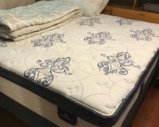 Recently Purchased King Serta Perfect Sleeper Bedding