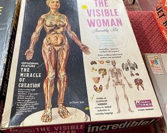 Renwal Visible Woman Model Kit