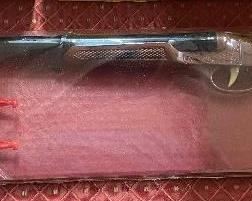 Double Barrel Dart Gun (Shotgun)