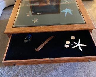 Coffee table with display and storage