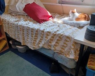 twin bed with boxspring and frame - cat not included ;)