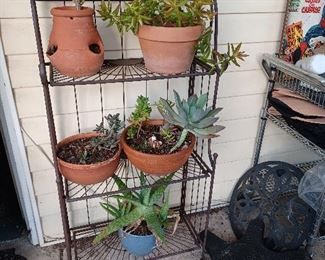 fold-up plant metal plant stand, succulents for sale, heavy duty rolling plant stands with brakes