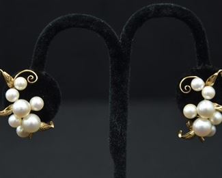 14kt Gold & Pearl Earrings 